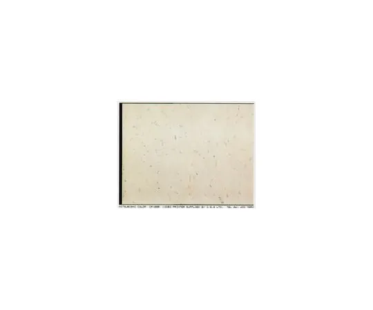 62-8491-82 Anti-Dystrophin, mid-rod, clone 6D3; 1 mL MAB1692