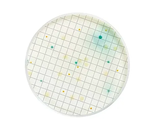 61-0194-40 Pseudomonas Selective Liquid Medium Ampule 2mL for Pseudomonas Aeruginosa 50 x 1ST MHA000P2P