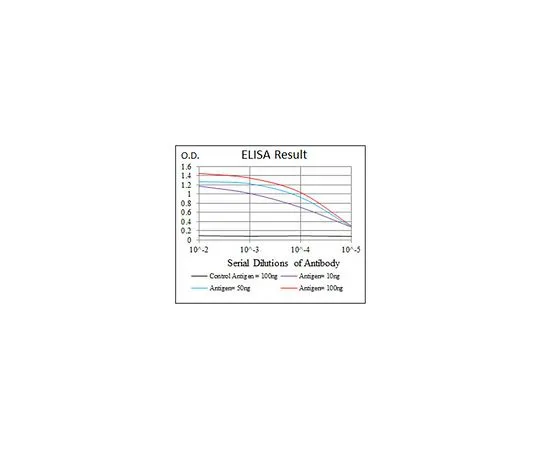 62-8522-44 Anti-PPM1A, clone 7F12 MABS415
