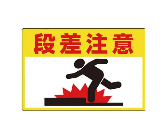 62-0109-39　［Discontinued］Electrostatic Shoes 24.5 cm　83521