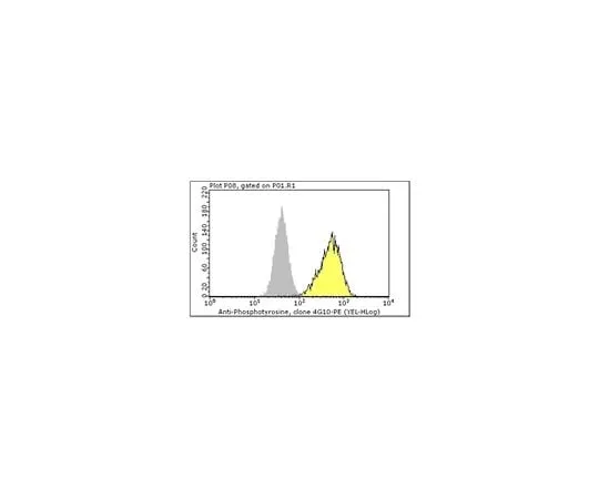 62-8485-13 Milli-Mark(TM) Anti-Phosphotyrosine-PE, recombinant clone 4G10R; 100 tests FCMAB323PE