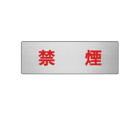 62-0345-86　［Discontinued］Room Name Display Plate Neurology Aluminum (Hair Line) 80 x 240 x 3 Thickness　RS648R
