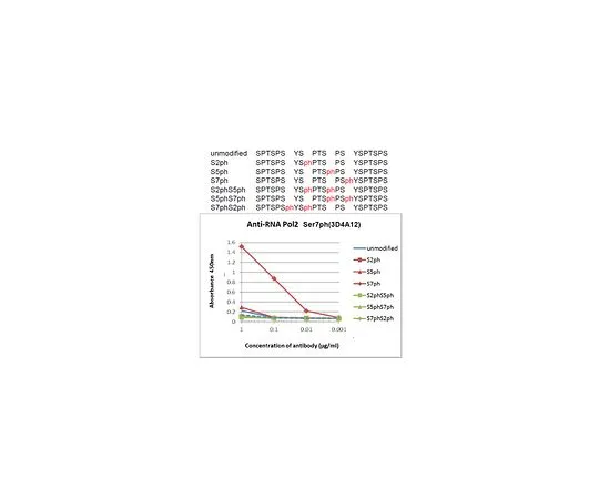 62-8507-78 Anti-phospho RNA Pol II (Ser7), clone 3D4A12 MABE955
