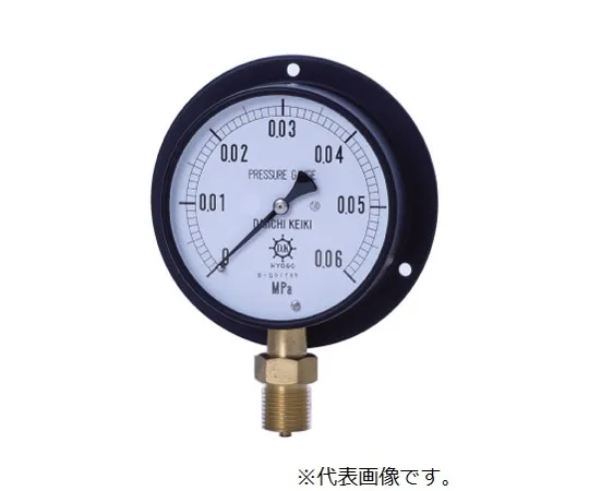 65-3605-29 IPT General Pressure Gauge Type B Φ75 G3/8 0~25MPA BT38-7525MPA