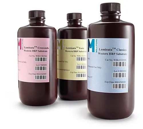 61-0196-09 Luminata Forte Western HRP Substrate, 100mL 100mL WBLUF0100