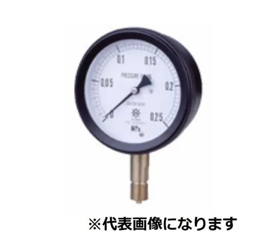 65-3635-16 MPP Plastic Sealed Pressure Gauge Core Section SUS A Type φ100 R1/2 0~0.06MPA S-AUR12-1000.06MPA