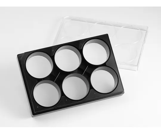 65-3962-88 Elplasia Plate 6-Well Clear Bottom Plate Black Round Bottom Ultra-Low Adhesive Surface 1x5 Pack 4440