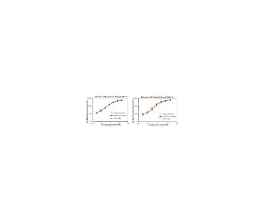 62-8538-32 Total beta-Tubulin Magnetic Bead MAPmates 46-713MAG