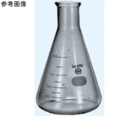 65-8672-32 Erlenmeyer Flask 50 mL 603-50