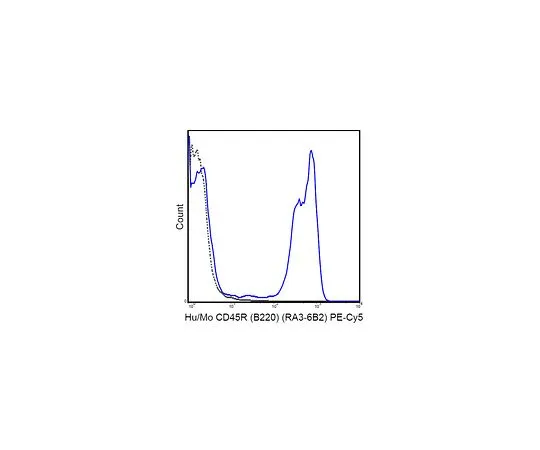 62-8512-09 Anti-Amyloid βA4, clone 1E8 (Amino Terminus) MABF603