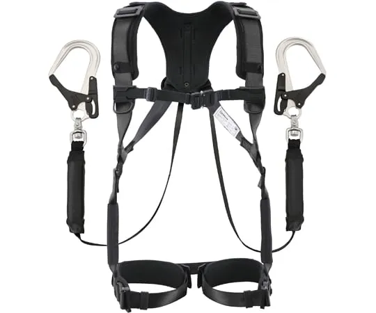 67-0339-91 Harness HA Black KR150FA Single L8 Double Set A1HAKR-WL8BK