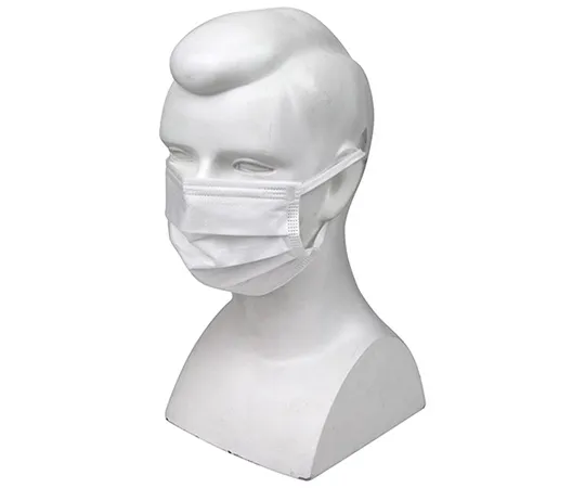 63-5346-22　［Discontinued］SK11 Disposable Non-woven Fabric Mask Normal 10 pcs　SNWFM-010N