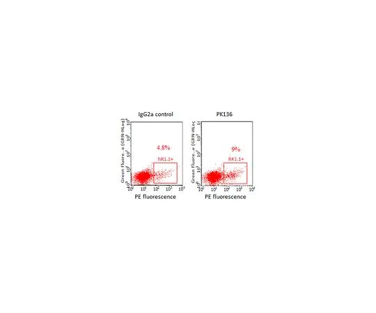 62-8514-21 Anti-NK1.1 (mo***) Antibody, clone PK136, Azide Free MABF1495Z