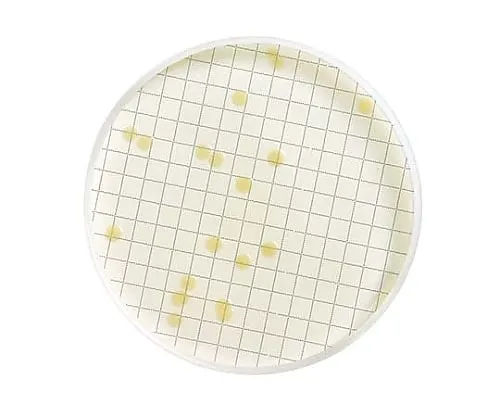 61-0199-10 TGE Broth Dehydrated Bottle 110G 1/Pk 1ST MB000000T