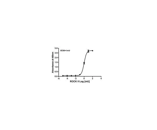 62-8480-91 Rho-associated Kinase (ROCK) Activity Assay (96-well); 96 assays CSA001