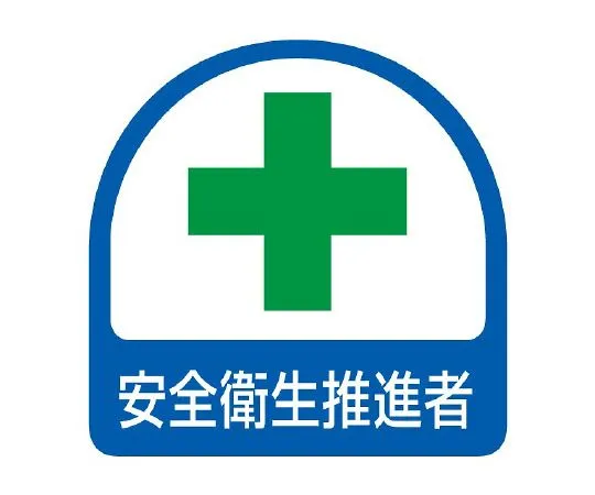 62-6145-39 Helmet Sticker Safety and Health Promoter 851-05