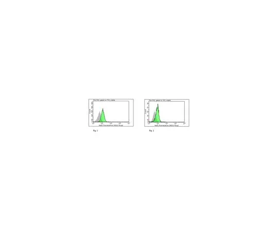 62-8501-95 Anti-NLRP10 Antibody, clone 8H2 Cat. No. MABC293 MABC293