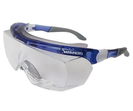 64-0830-23 Protective Glasses TA961CL