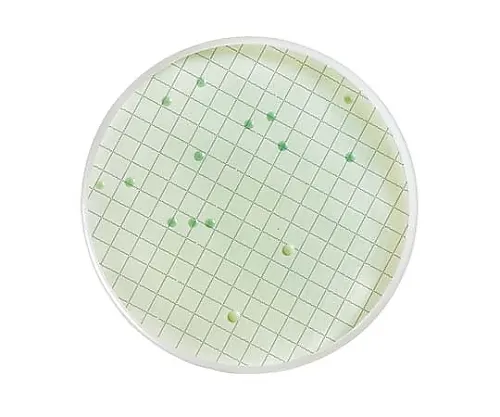 61-0194-65 Wallerstein Differentia Liquid Medium Ampule 2mL for Yeast And Mold 50 x 1ST MHA000P2D