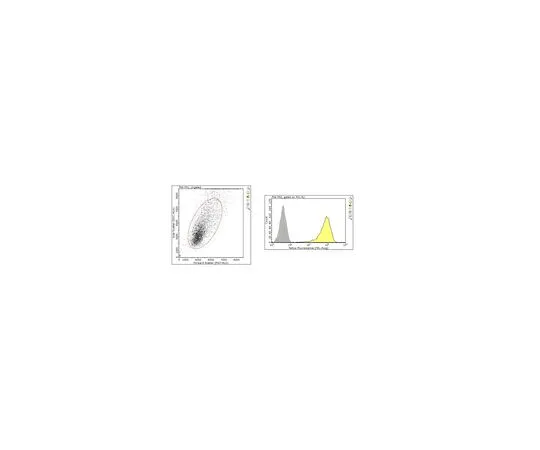 62-8521-65 Anti-Delta-like protein 1 Antibody, clone PGPM-1F9 MABN2284