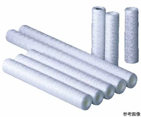 64-1019-99　［Discontinued］Cartridge Filter TCW-05-CSS　250221C5