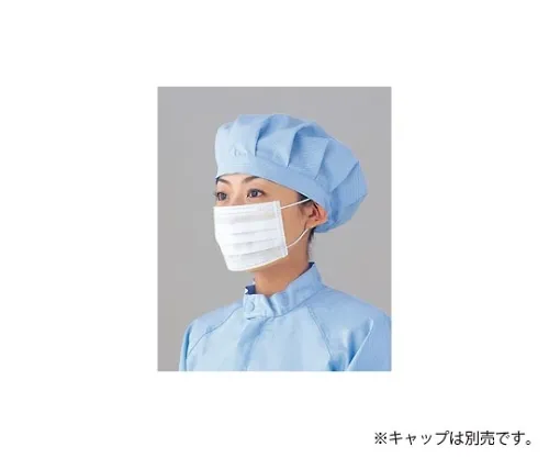 61-0142-18　［Discontinued］Ear Hook Mask 4000 Pieces　PA-FM3-01-F-2000Px2