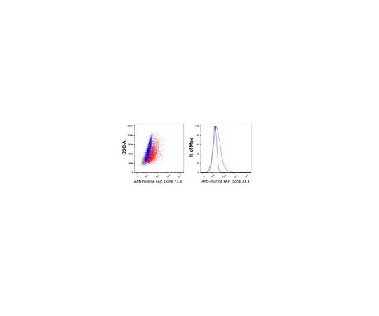 62-8503-73 Anti-FAP Antibody, clone 73.3 MABC1145