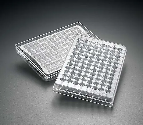 61-0204-39 Multiscreen HTS IP 0.45μm Clear Sterile 10/Pk 10PK MSIPS4510