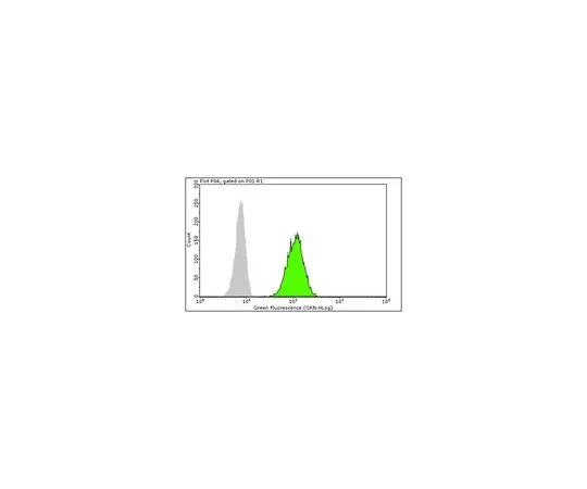 62-8526-10 Anti-Calreticulin, clone 16B11.1 MABT217