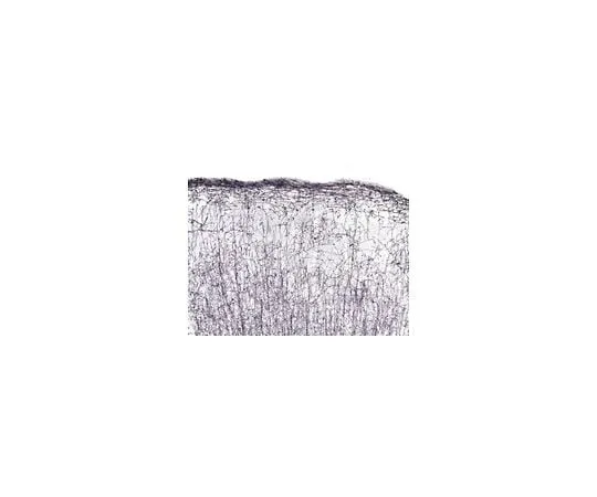 62-8491-35 Anti-Oligod***rocytes, clone NS-1; 100 μL MAB1580