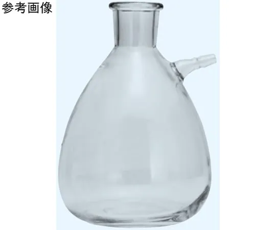 65-8684-50 Glass Suction Filtration Bottle White 1 L 646-180