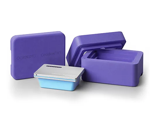 63-1536-96 CoolBox XT Purple 432021