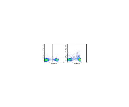 62-8514-39 Anti-mouse IFN gamma, FITC, clone XMG1.2 Antibody MABF1518