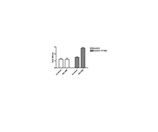 62-8482-04 QCM(TM) Tumor Cell Trans***othelial Migration Assay (Colorimetric, 24 Assays) ECM558
