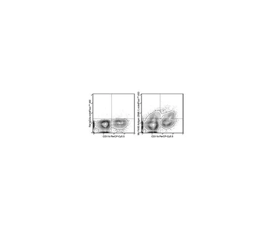 62-8514-53 Anti-F4/80 (mo***), violetFluor(TM) 450, clone BM8.1 Antibody MABF1534