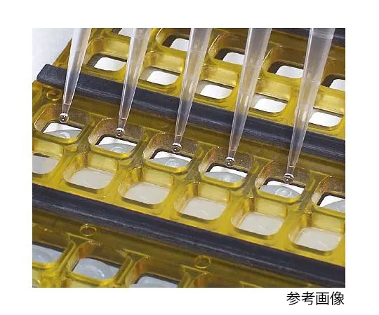 64-3317-13 FAST Slide 16 Well 8 Pad and 16 Pad Culture Chamber 7 x 7 mm 1 Box (10 Pieces) 10486046