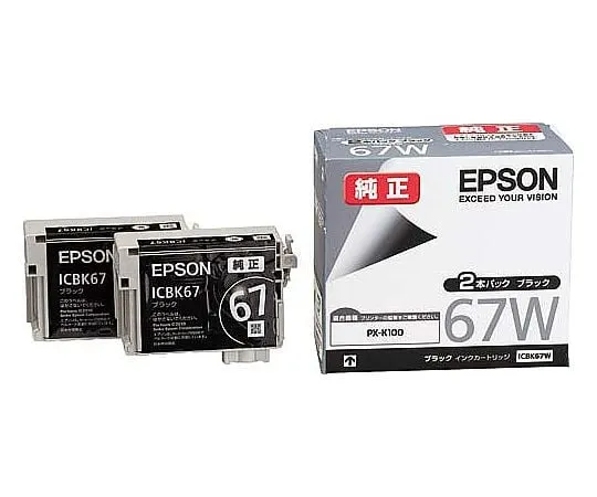 61-0512-15 Epson Genuine Ink Cartridge (Black) x 2 ICBK67W