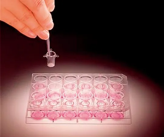 2-5199-01　［Discontinued］Small Film Chamber　CH3-24