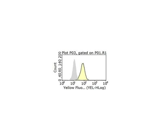 62-8492-52 Anti-Integrin αVβ5 Antibody, clone P1F6, Phycoerythrin conjugate MAB1961H-I