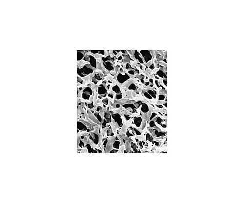 61-0195-06 Durapore Disc PVDF Phobic 0.22μm 13mm Wh Pln 100/Pk 100PK GVHP01300