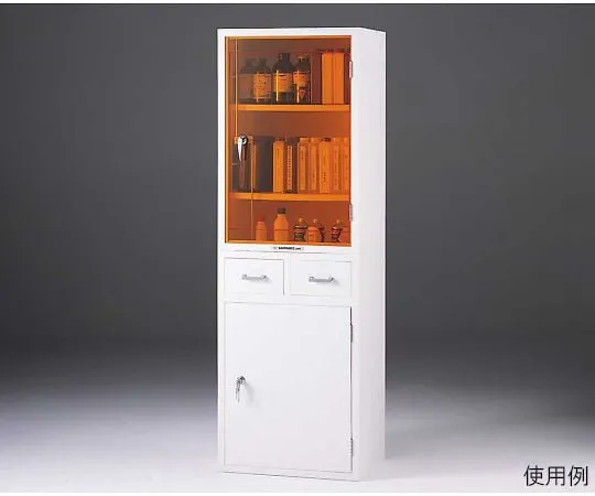 64-3683-89 Chemical Storage Cabinet P600 Type Set 02456