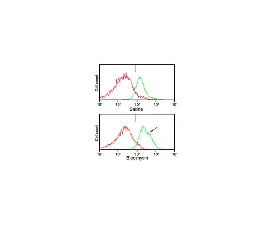 62-8473-29 Anti-Pro-Collagen Type I, A1/COL1A1 ABT257