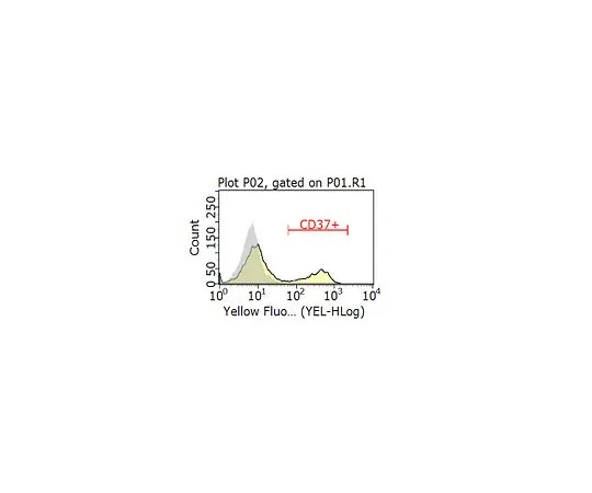 62-8512-92 Anti-CD37 Antibody, clone MB-1 MABF913