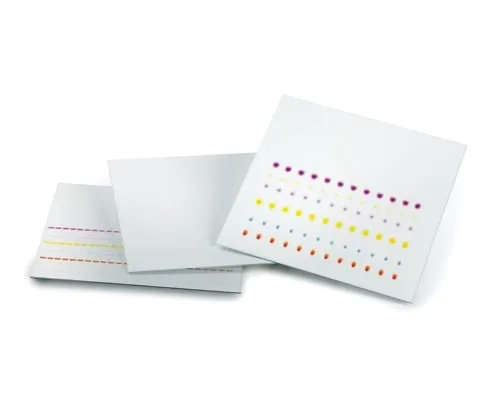 3-3346-01 Unmodified TLC Plate No Fluorescence Indicator: 200 x 200 Glass Plate 1.05721.0001