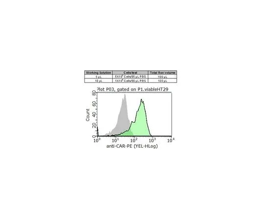 62-8485-38 Milli-Mark(TM) Anti-CAR-PE, clone RmcB FCMAB418PE-I