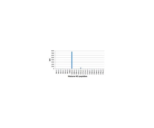 62-8507-20 Anti-dimethyl Histone H3 (Lys14), clone RM165 Antibody MABE651