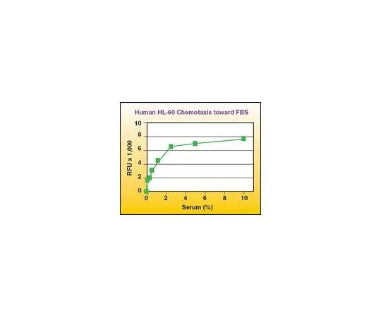 62-8481-89 QCM Chemotaxis 96-well (3 μM) Cell Migration Assay, Fluorimetric; 1 plate ECM515
