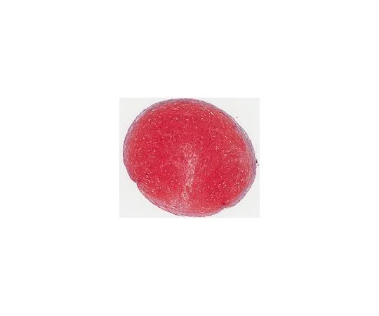 62-8534-33 Safranin-O Staining Solution TMS-009-C