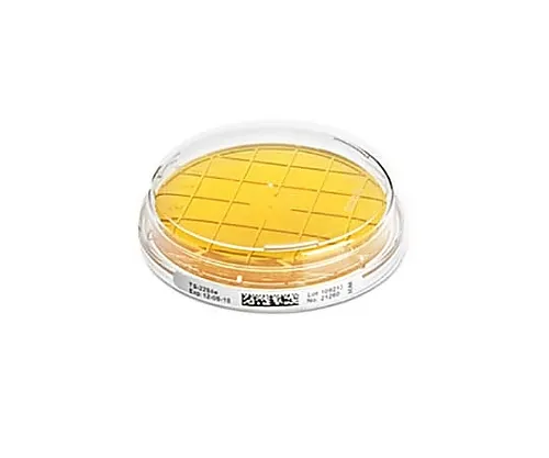 61-0191-61 Contact Agar Tryptic Soy W.Lth RT (20) 146200 20PACK 1.46200.0020