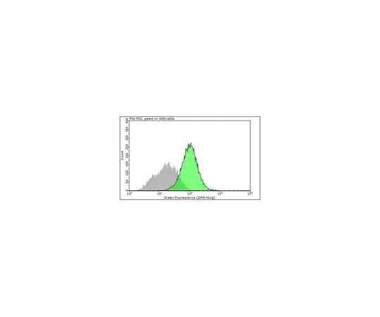 62-8526-04 Anti-Integrin alpha5 (Preservative Free), clone SNAKA51 MABT201